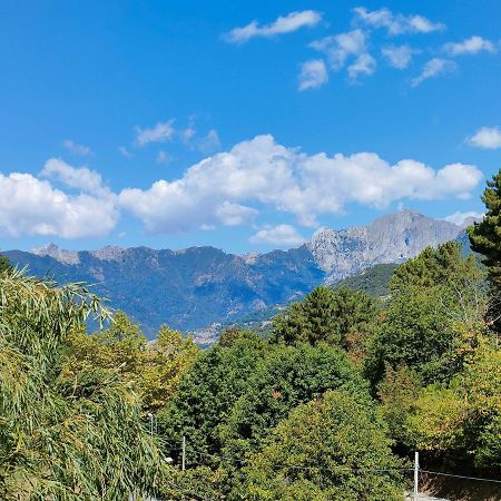 Casa del nonno Gino Villa Pietrasanta Eksteriør billede